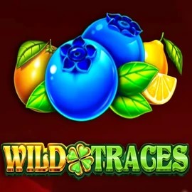 Official Slots logo: Wild Traces by Amusnet Interactive at Afkspin Casino